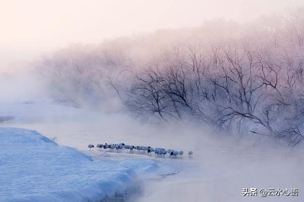 表达喜悦开心的七绝古诗,七绝描写景色的诗句