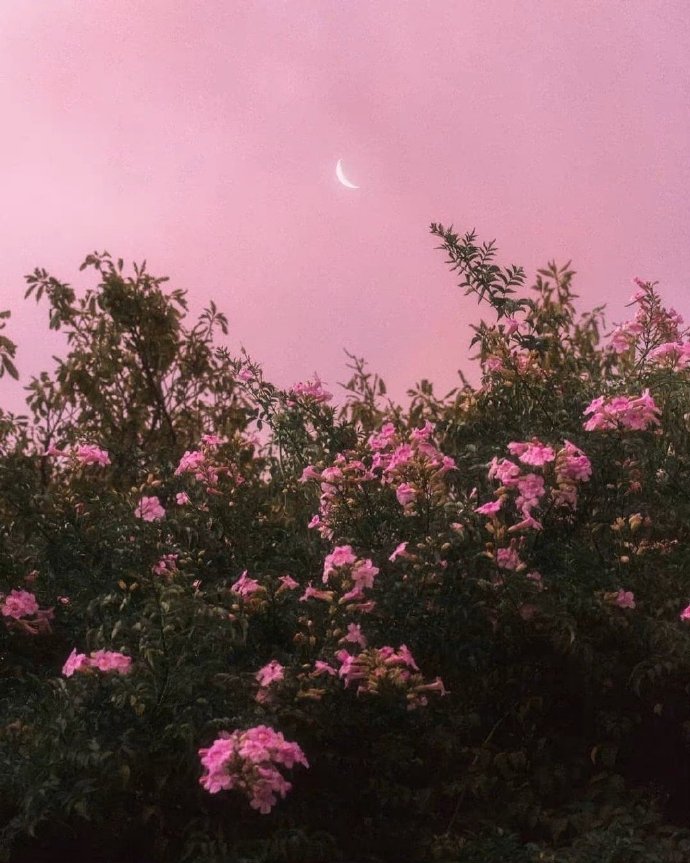 男朋友手机有丑照,男友手机里有自己丑照