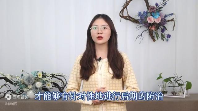 前庭囊肿，应该如何做好早期诊断？医生告诉你，这3个技巧...