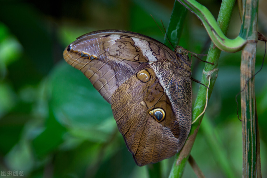 早起魔法之赶走瞌睡虫