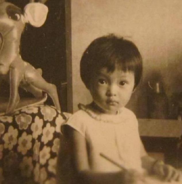 吴越不结婚是因为陈建斌吗,不结婚不生子40岁实现经济自由