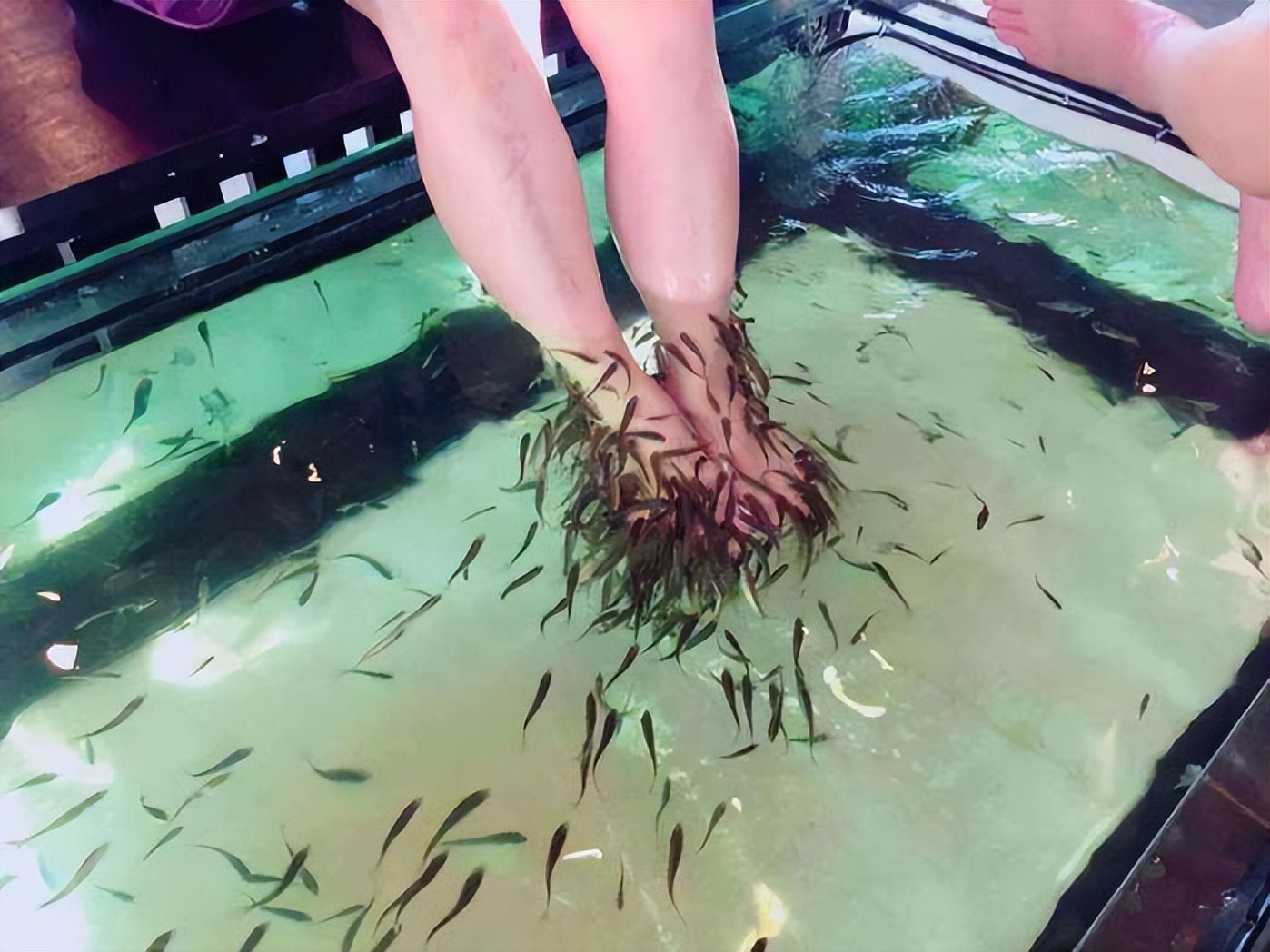 麻辣小鱼干是足疗鱼吗,麻辣小鱼干对身体好