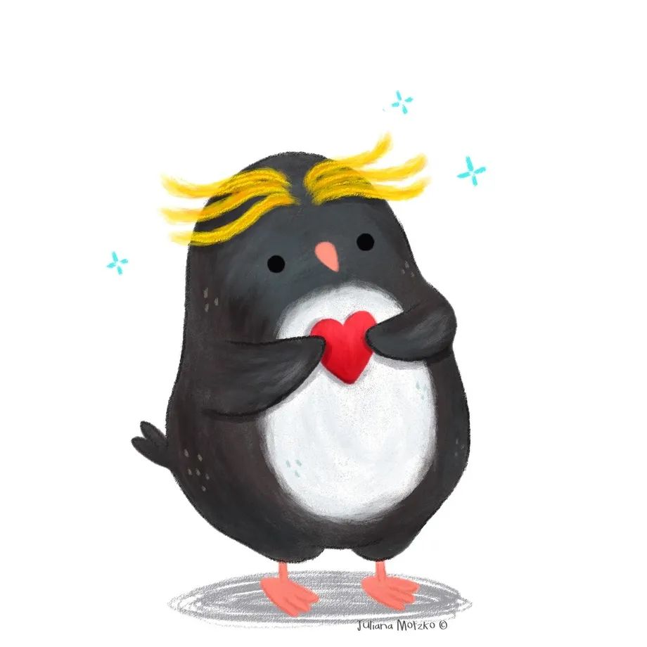 鸟类插画大全,鸟类插画艺术欣赏