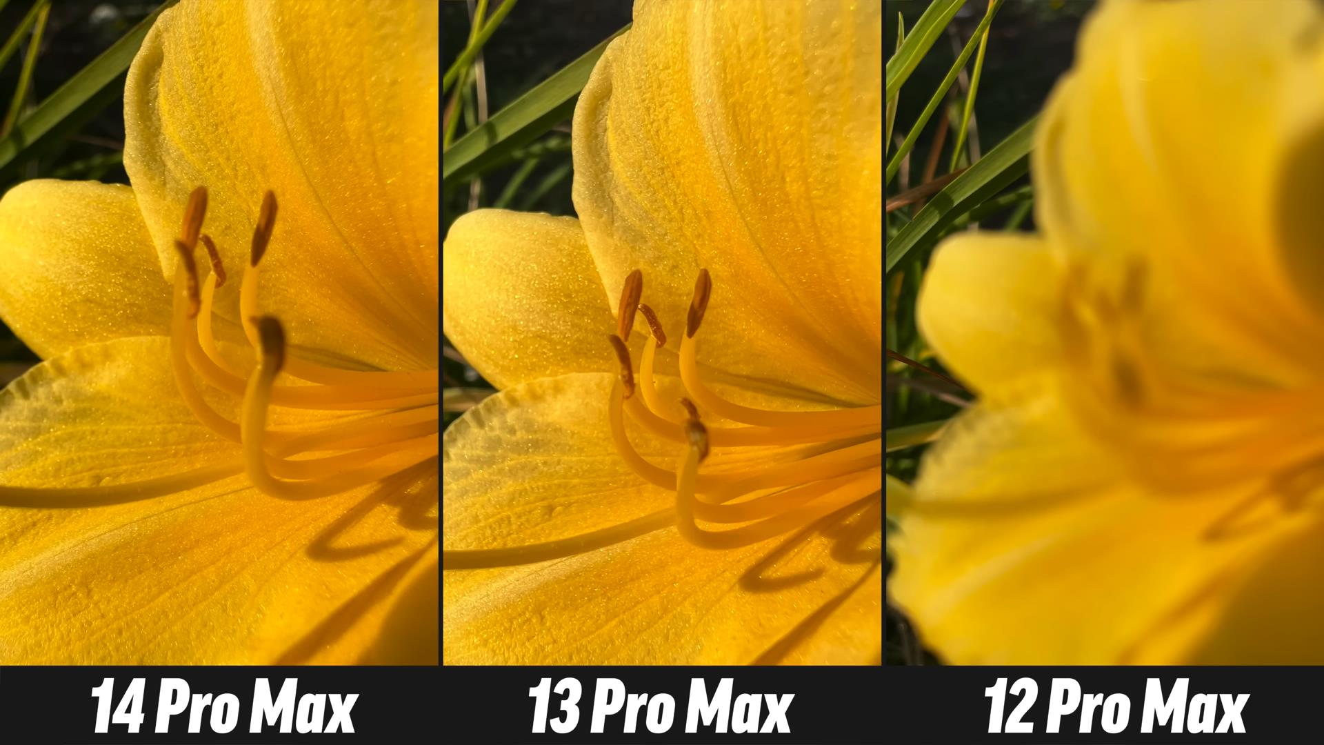 iphone14promax和13promax拍照对比,iphone14promax对比13promax拍照大小