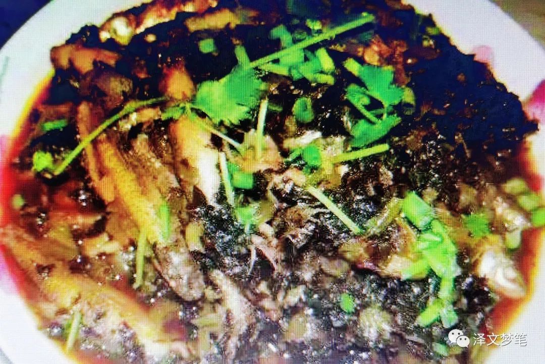 虎头鲨呆子鱼,虎头鲨是鲶鱼吗