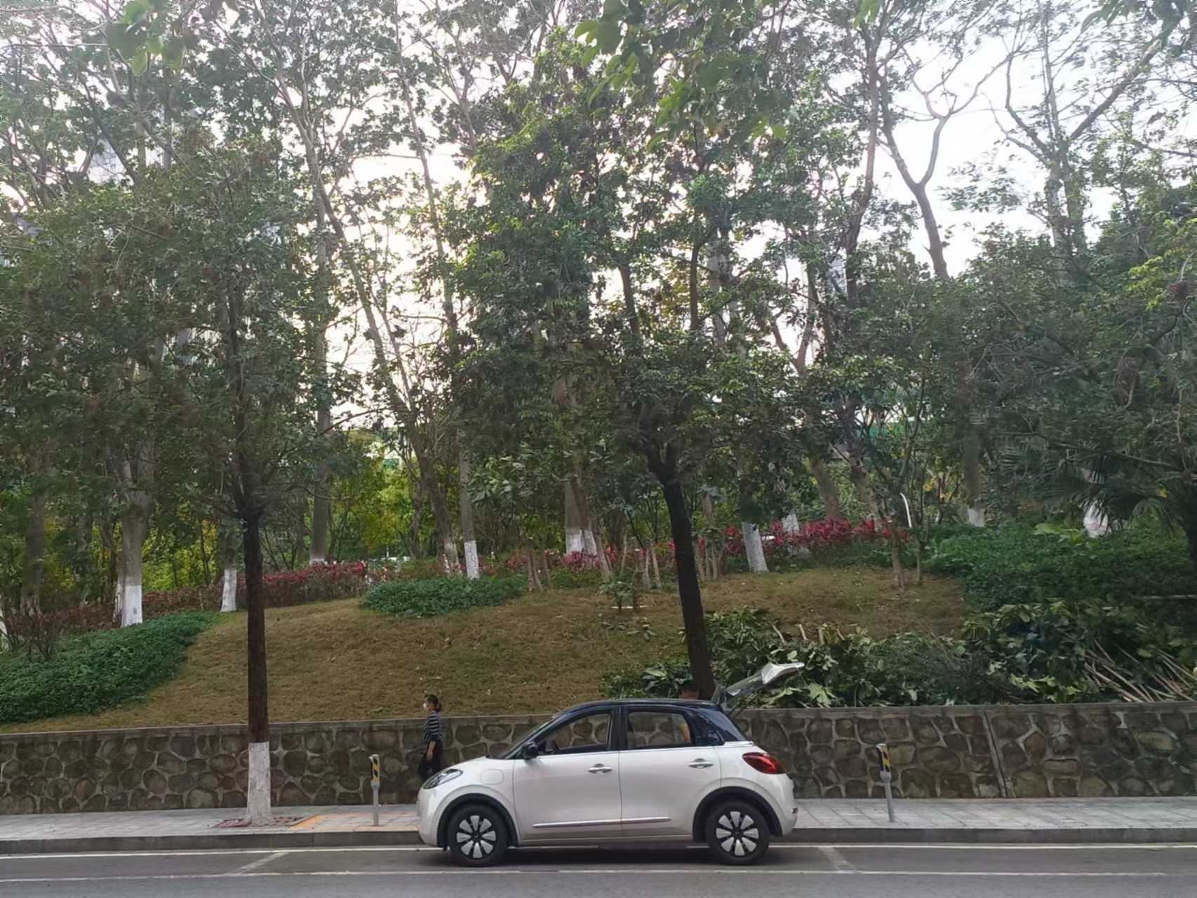 缤果预售价和实际价格,缤果有木有降价