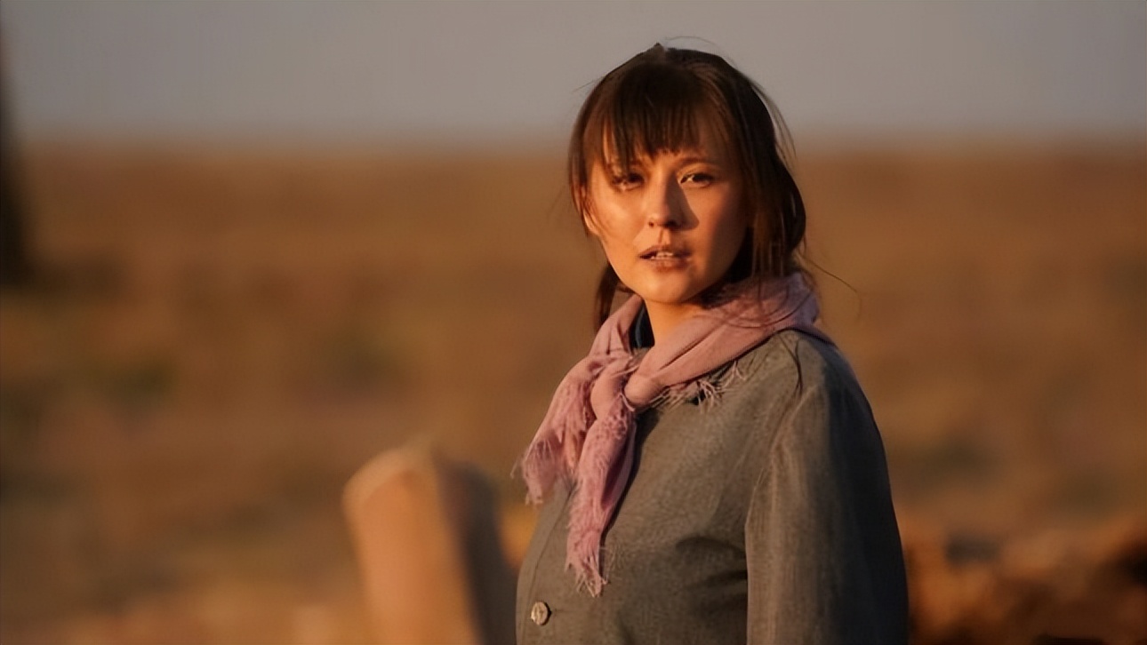 瓦城上空的麦田梗概,瓦城上空的麦田讲什么