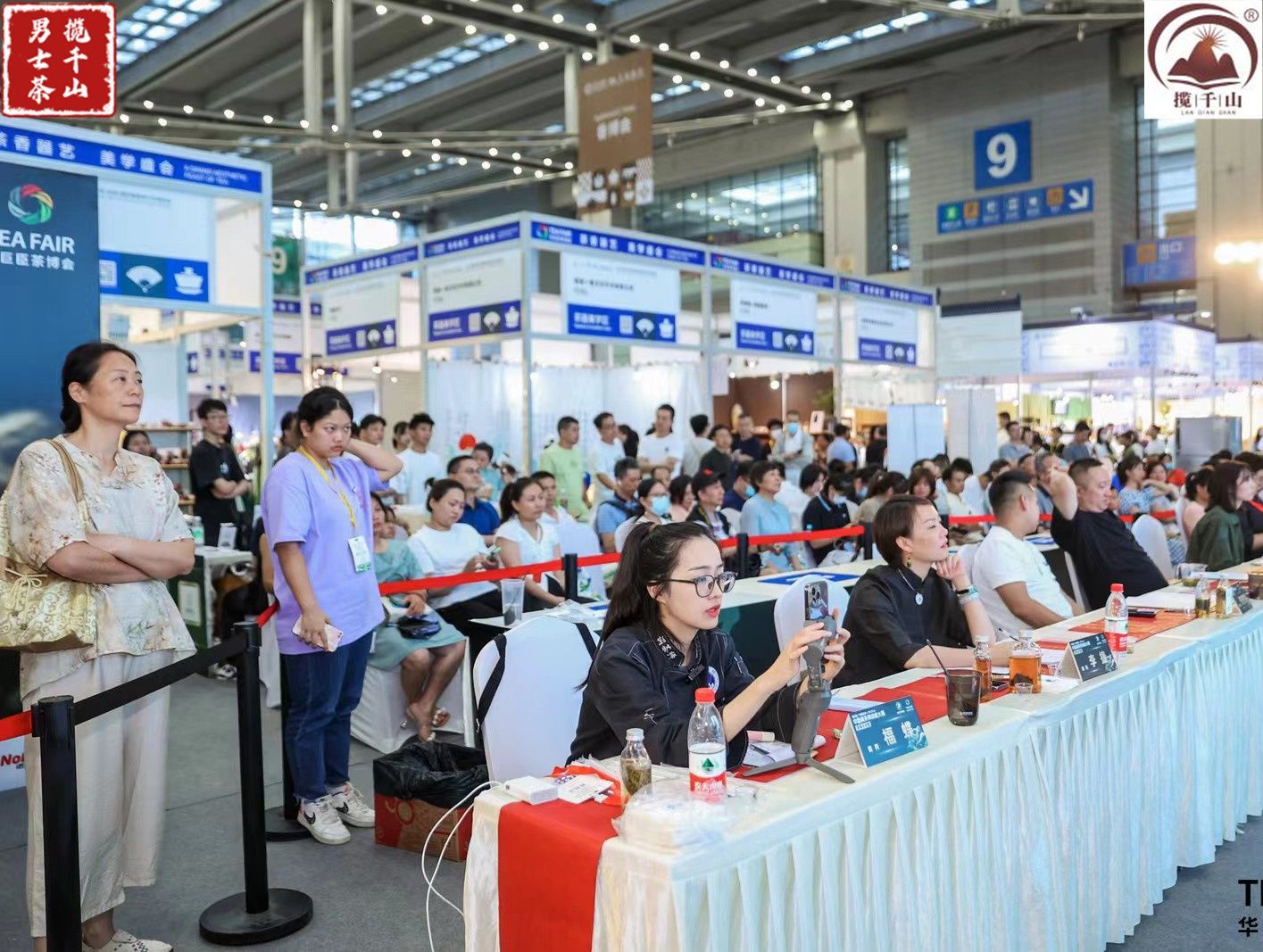 沏茶过程和品茶内容,茶艺师沏茶品茶
