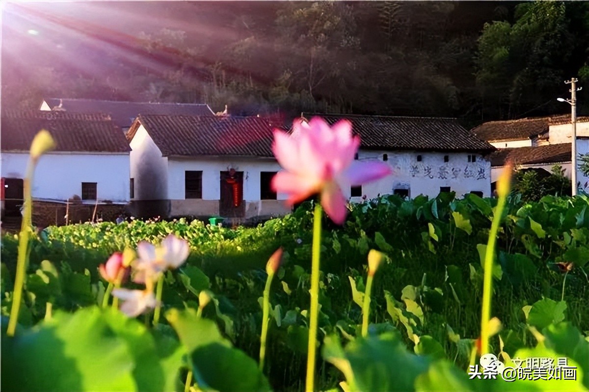 省内周边清凉避暑的地方有哪些,夏季清凉的旅游景点