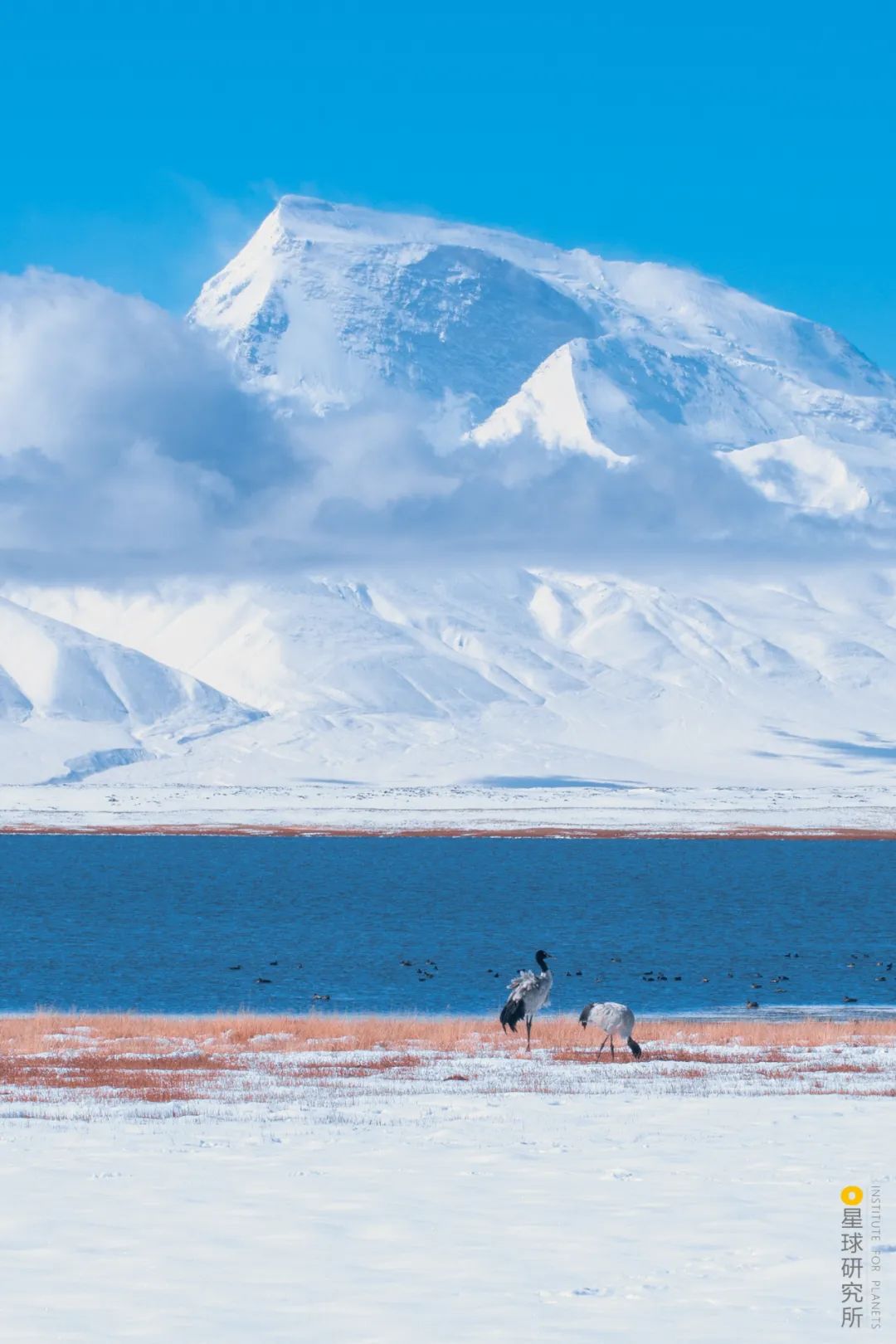 去青藏高原，看“千错万错”