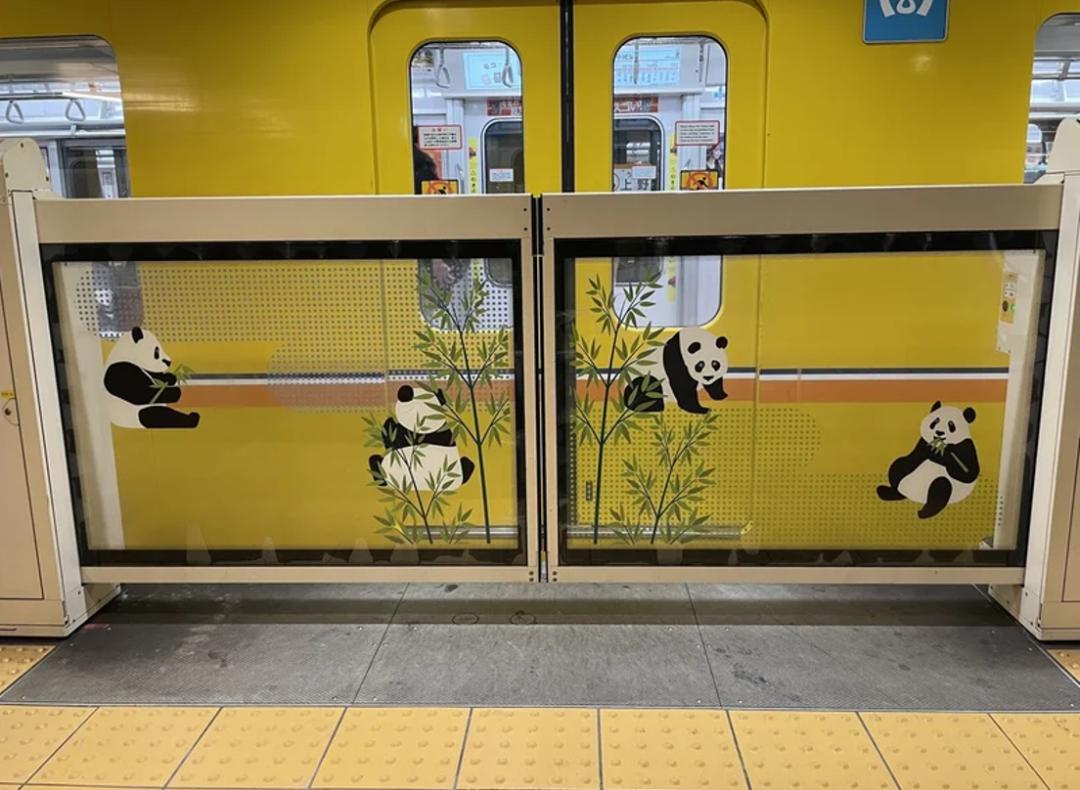 日本那么多熊猫为什么都喜欢香香,为什么日本有那么多熊猫