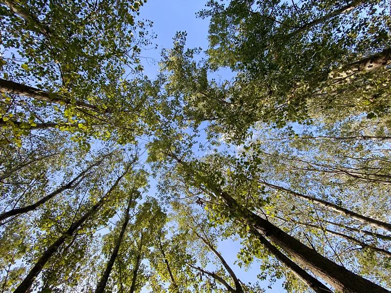 降温天气寒冷,降温降雨冷冷冷