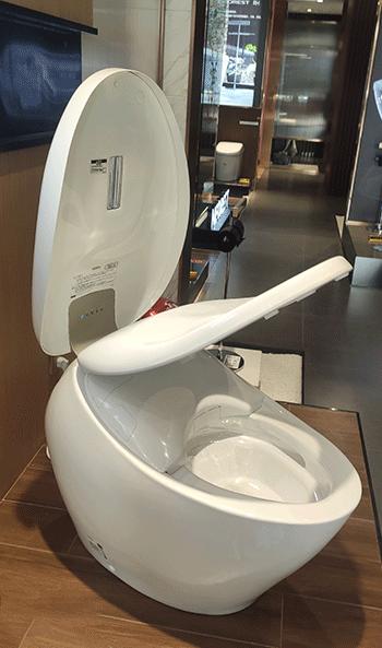 智能马桶真的有必要买么,智能马桶有没有必要买最好的