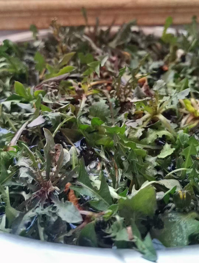 自带青霉素的三种食物,这6种食物含有天然青霉素