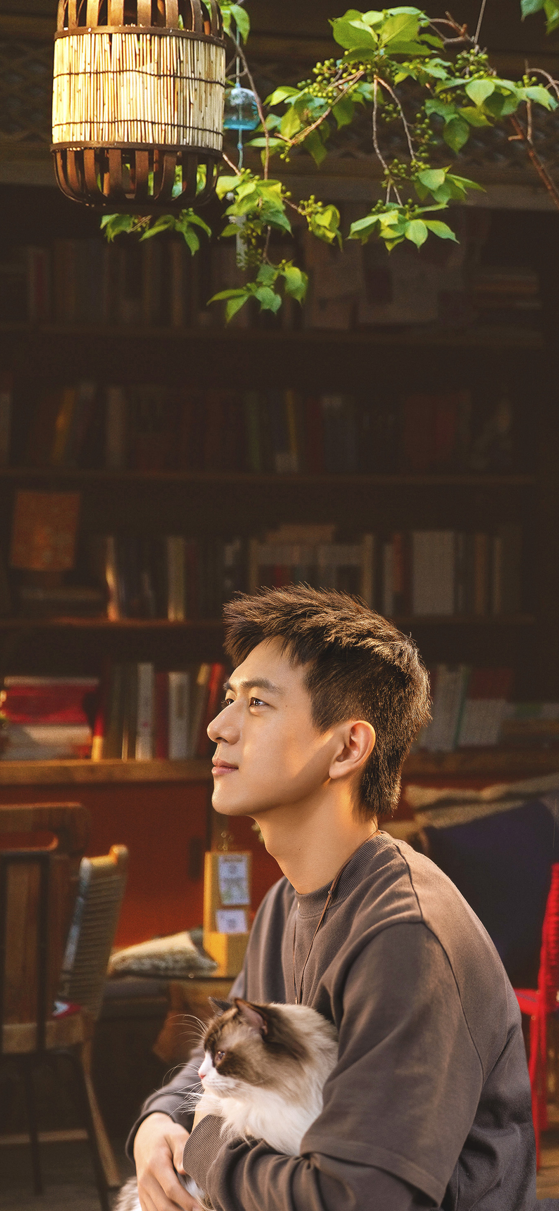 2023年手机壁纸,2023年最新款超清手机壁纸