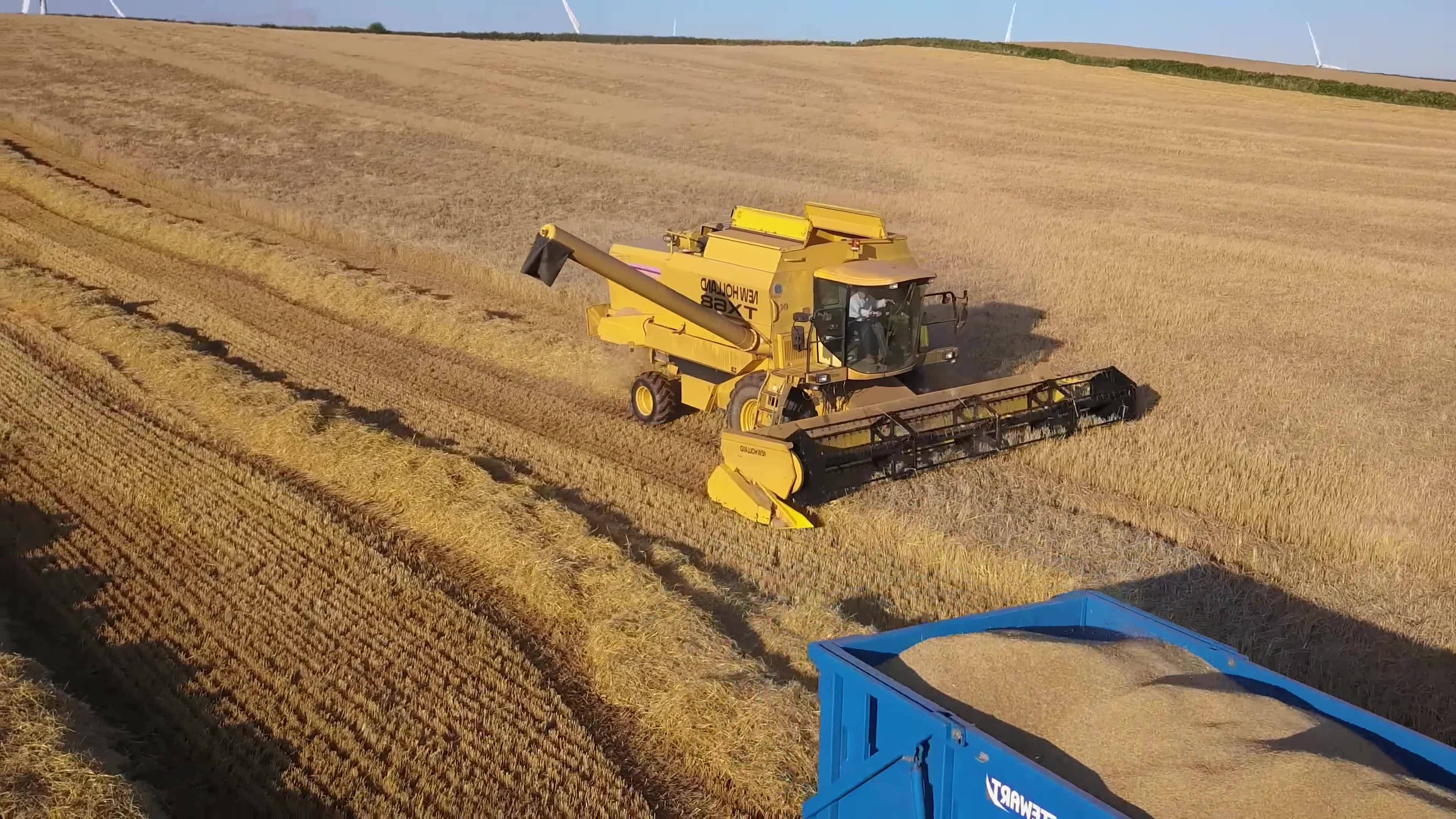 美国对华出口牛肉大增,美国对华进出口最新数据