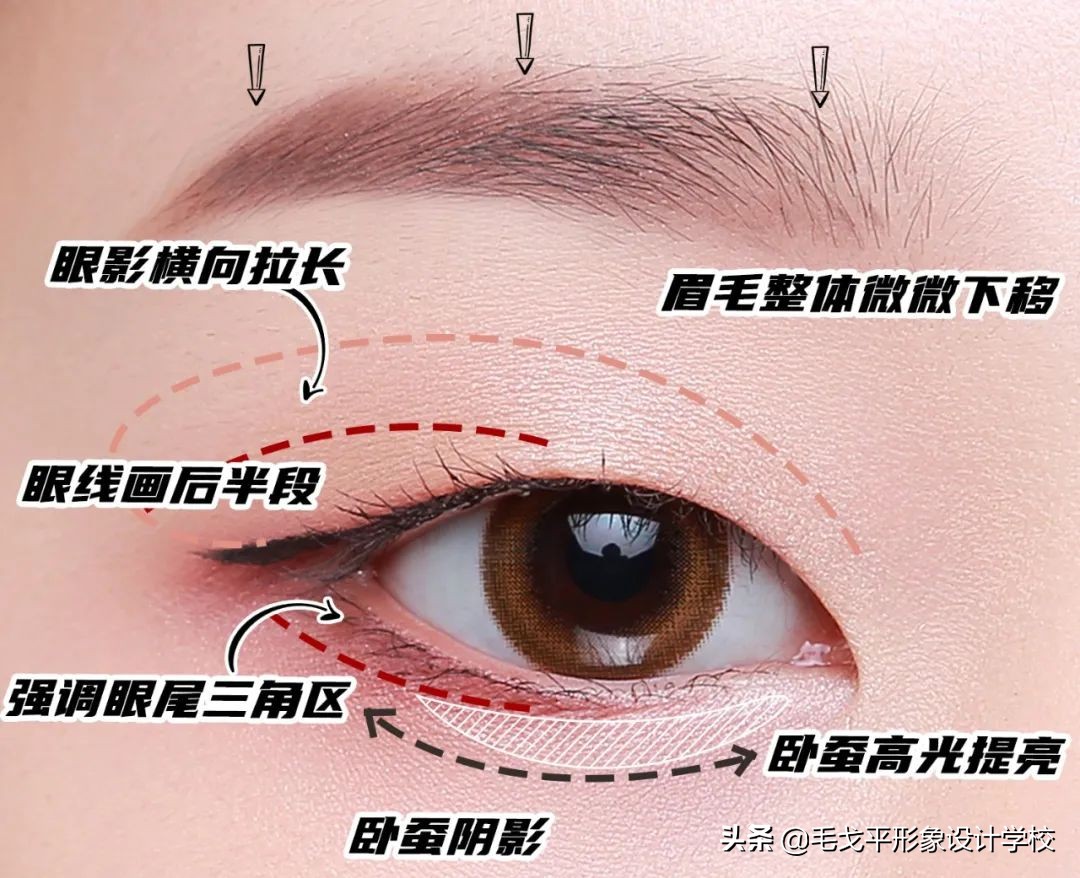 新手化妆眼影教程,超详细新手眼影教程一学就会