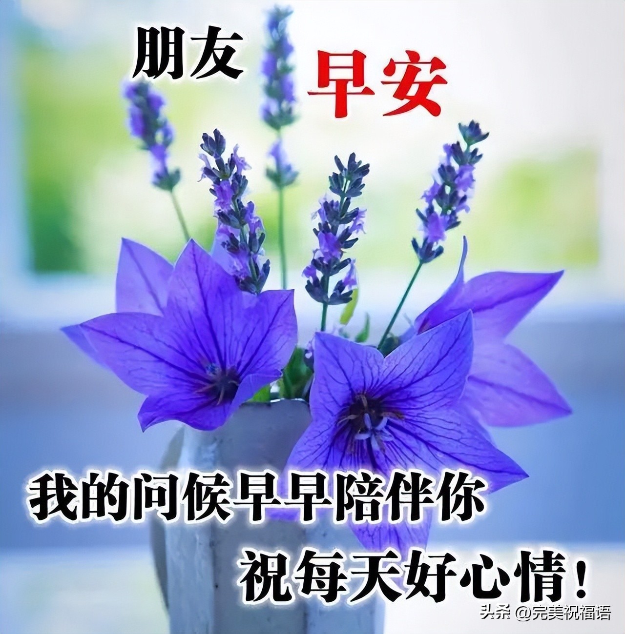 早上好祝福语图片加表情大全,今日最新早上好动态祝福表情