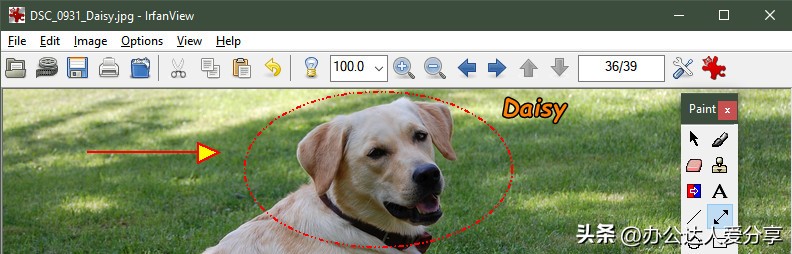 超好用的神仙配图,推荐可收藏的神仙图片