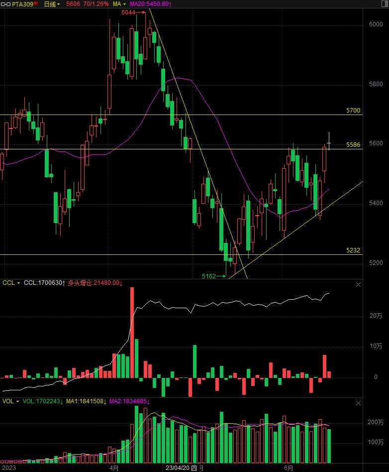 20230615期货交易分析日记