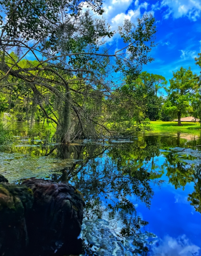 热带雨林是地球之肺教学视频,热带雨林是开发还是保护