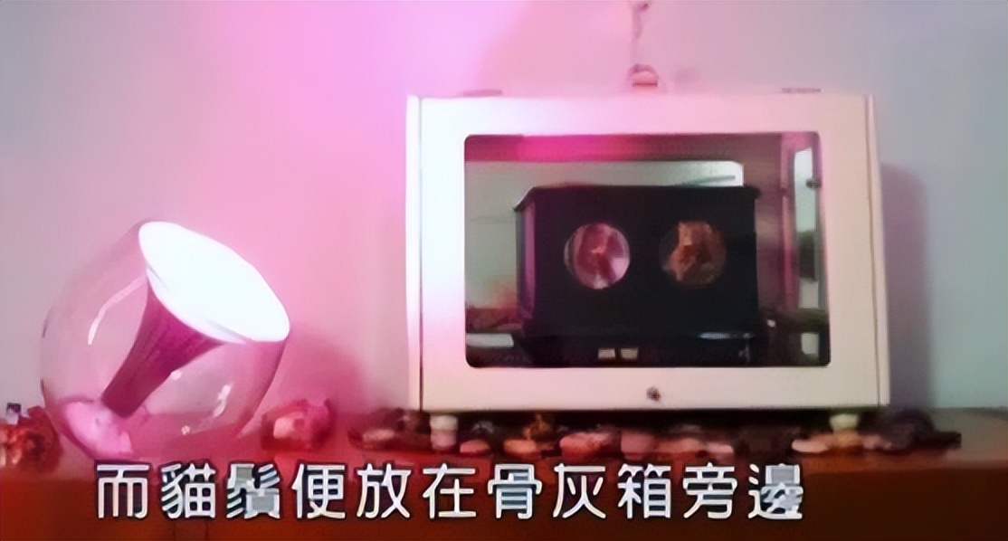 周慧敏谈出轨事件,为什么周慧敏能原谅老公出轨