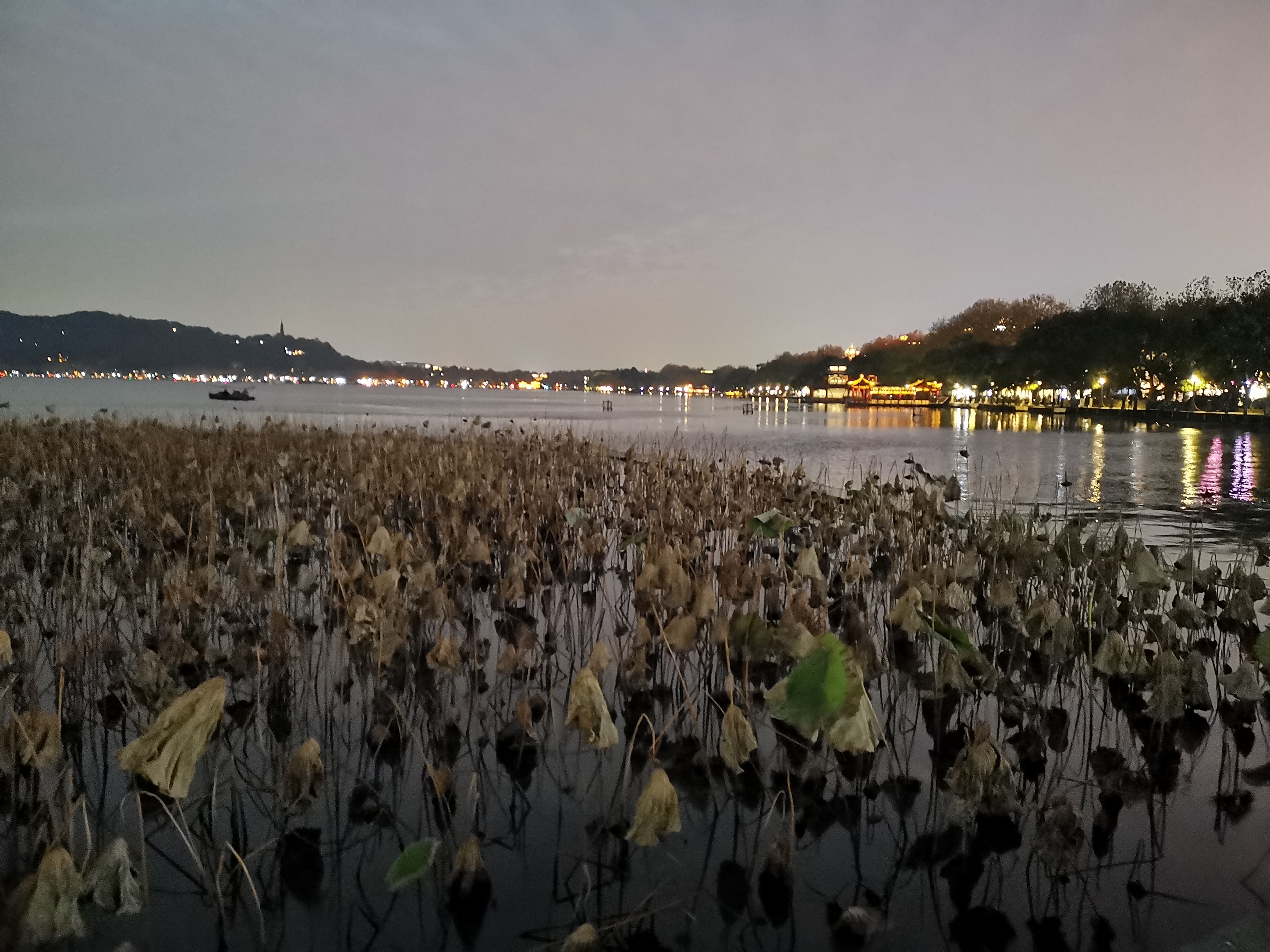 西湖印象股份有限公司,西湖印象张靓颖