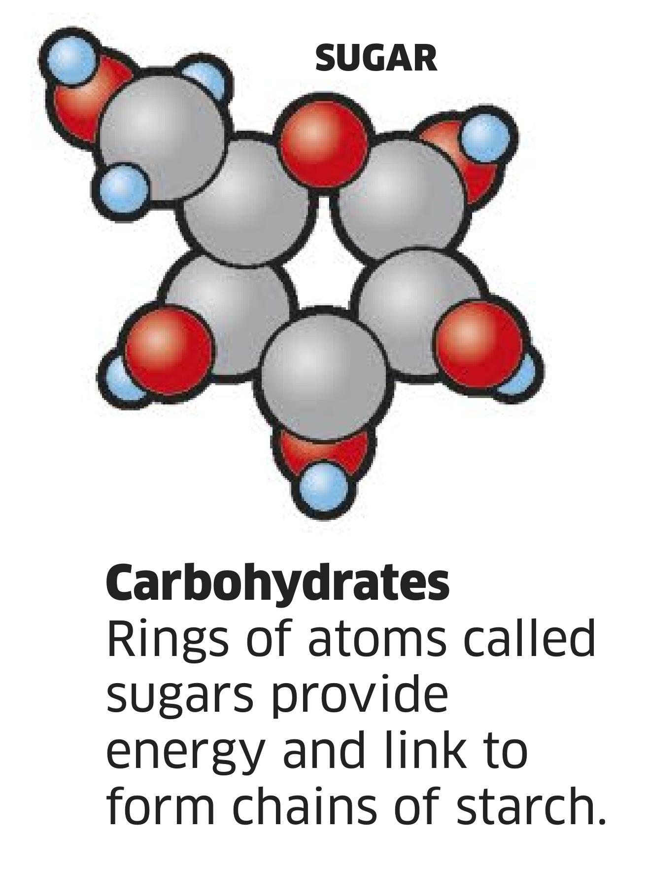 认识希腊字母用英语学习生物化学简单又好玩