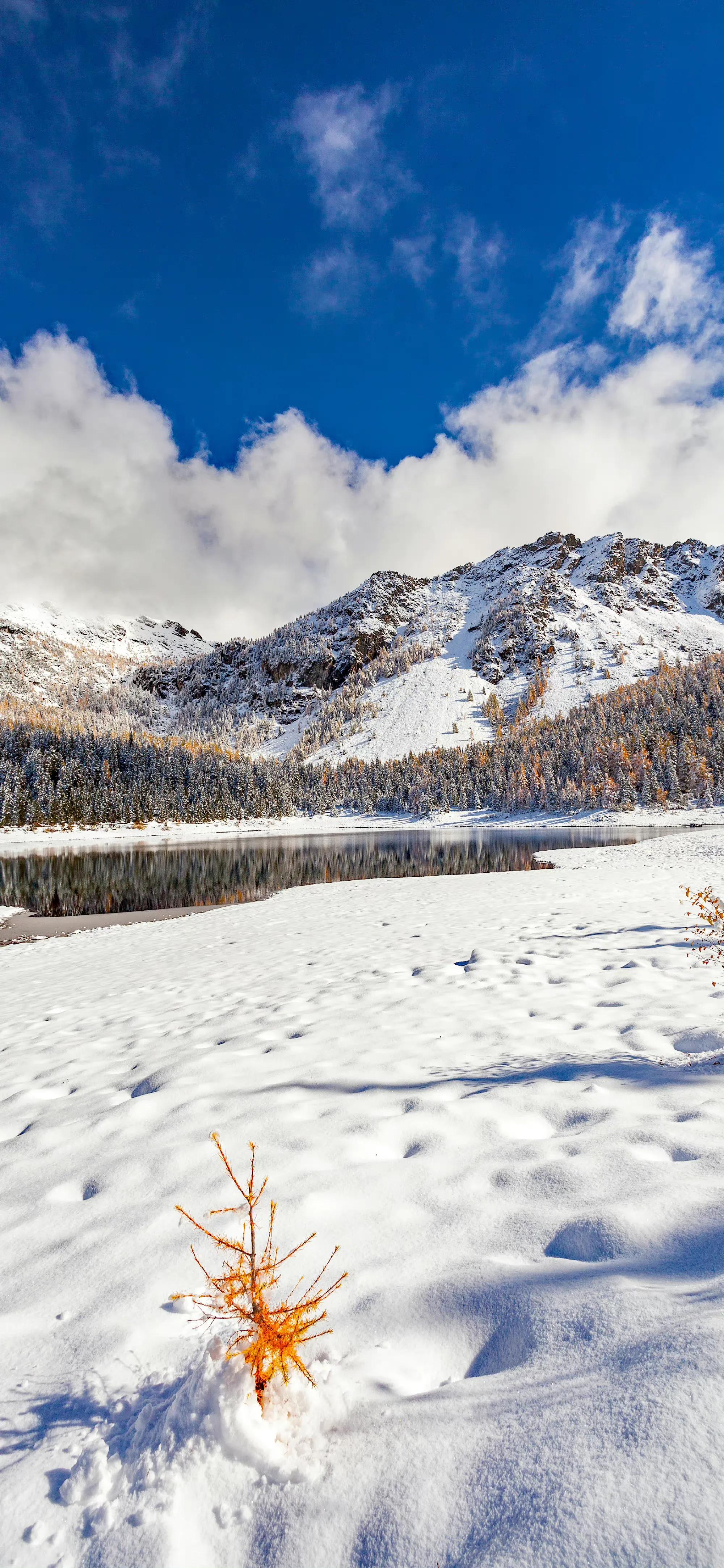 品读七首大雪诗词,大雪时节的唯美诗词