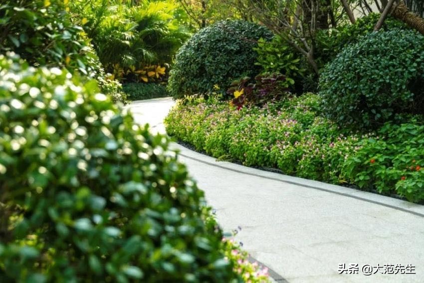 武侯西·新双楠核芯生活区