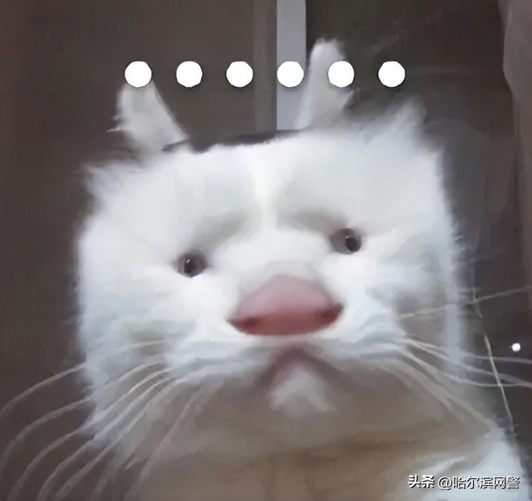 都是昵称惹得“祸”，求民警的心理阴影面积