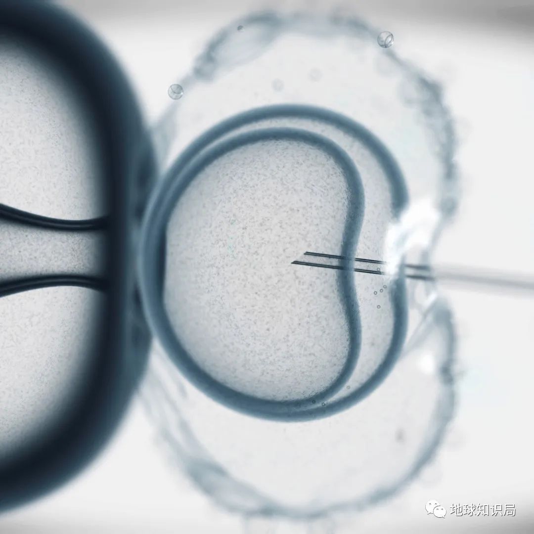 男子精子断崖式下降,男精子数量