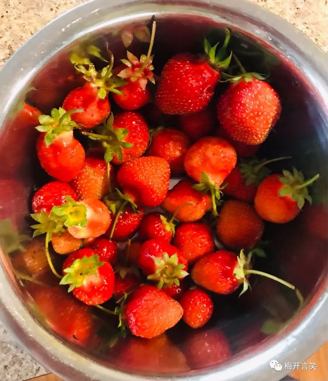 在澳洲种菜日记,我在澳洲学医