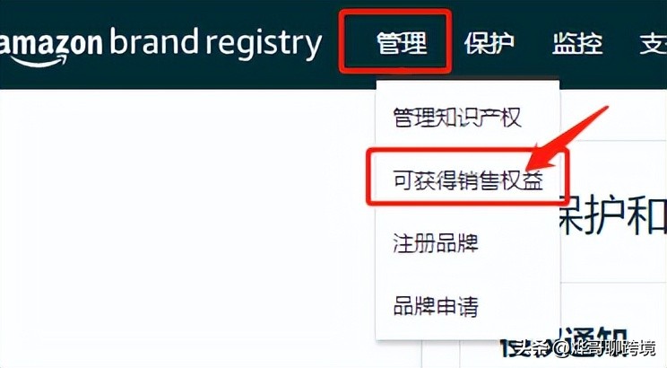 跨站点改品牌教程,亚马逊店铺品牌跨站点授权