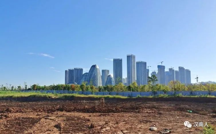 武汉传来好消息,武汉有几条轨道