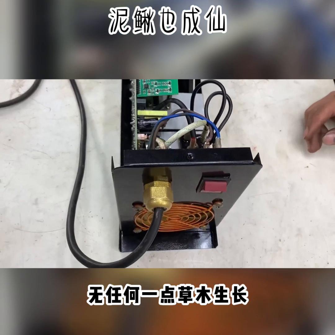 泥鳅也成仙#宝藏小说