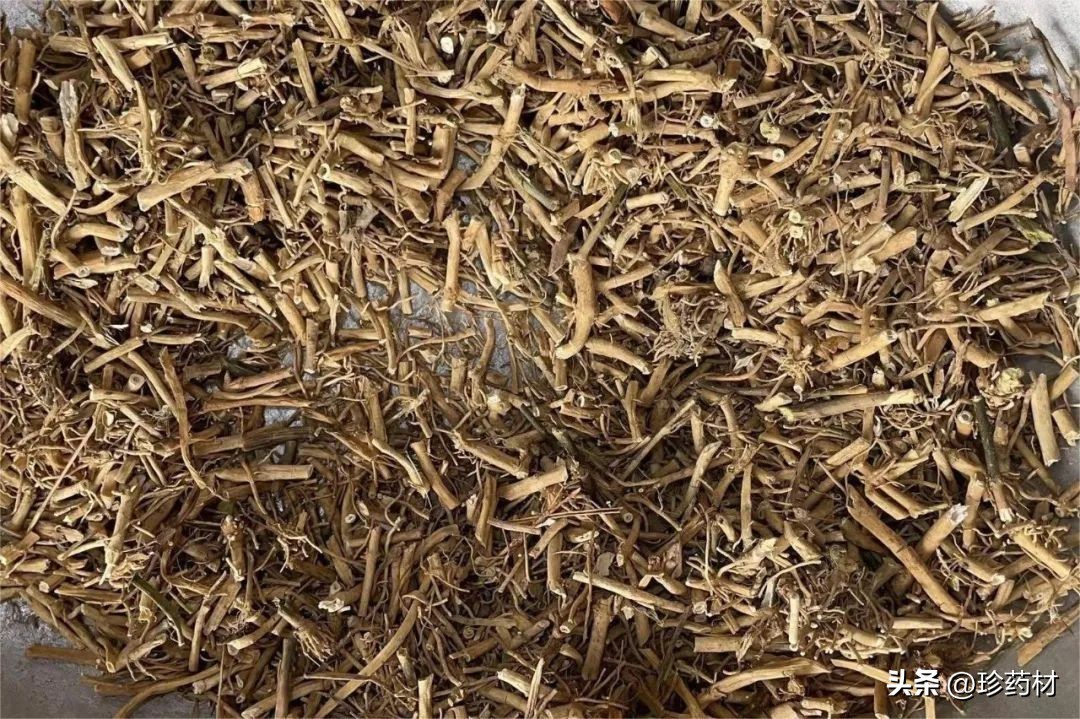 10月13日中药材市场快讯：川芎、猪苓、白前、木蝴蝶、肉桂、麦冬