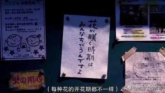 大智若愚大巧若拙是哪个学派的,大智若愚大巧若拙出自哪里