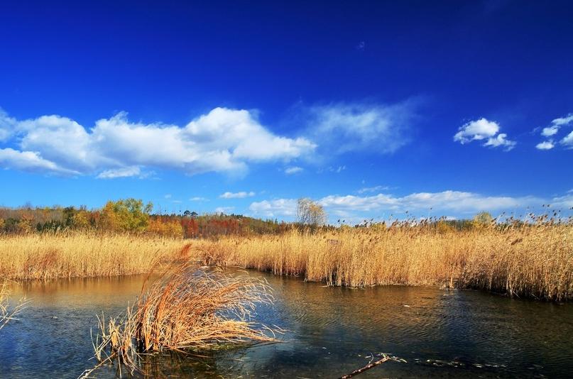 描写深秋景色优美的诗句,描写深秋优美句子古诗