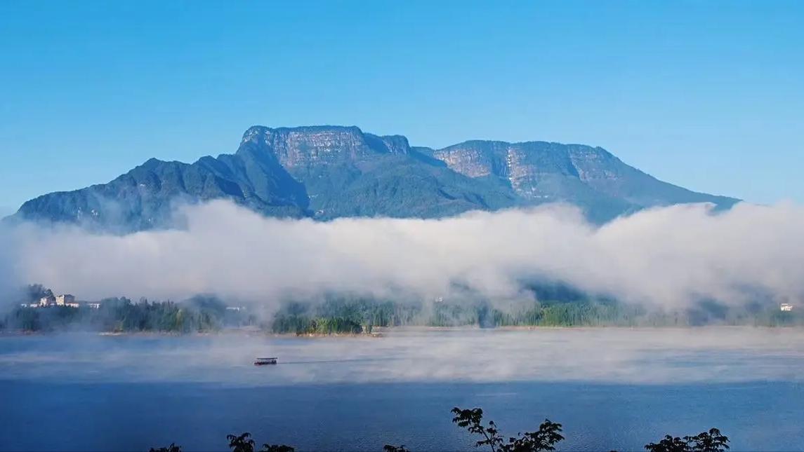 故事：药王唐慎微的离奇见闻，巴蛇护灵药，治酒虫，雀疮，传药典