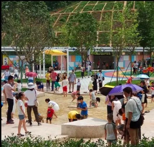 大运狂飙,兔年行大运好运常相伴