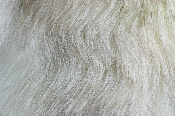 外阴出现白毛是卵巢早衰吗,女子刚结婚2年多查出卵巢早衰