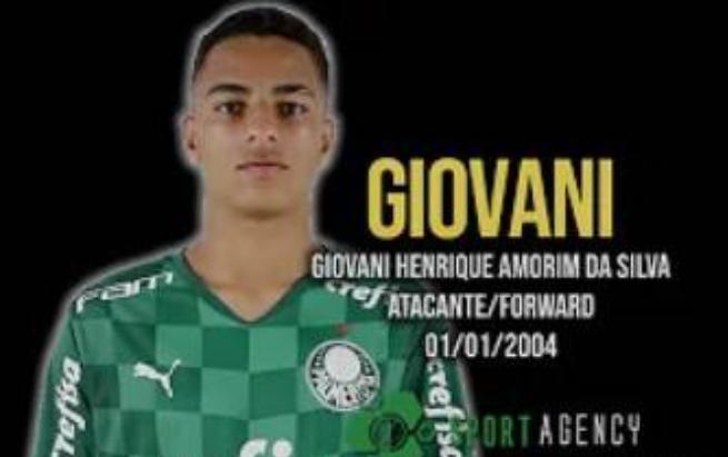 巴西新一代足球天才15岁,巴西足球新星有哪些