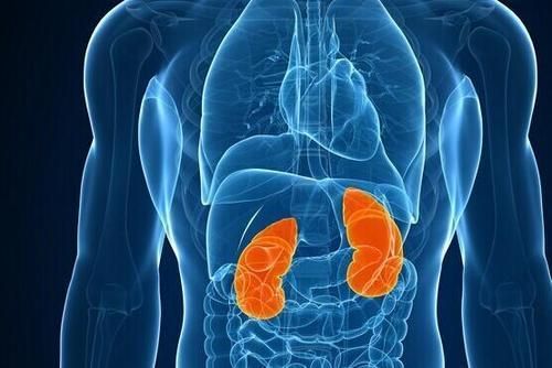 肾透支的人可能会有这五个表现,肾透支的人这4个症状很难隐藏