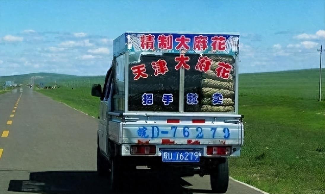 神秘组织天津大麻花的秘密,神秘势力天津大麻花