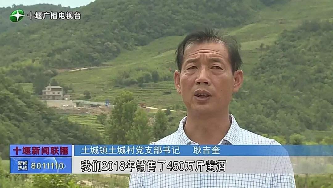 中青国际旅游集团,湖北中青国际