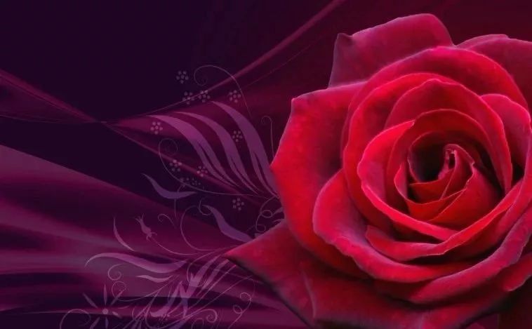 早安语录暖心短句文案图片,2015早安正能量的句子图片