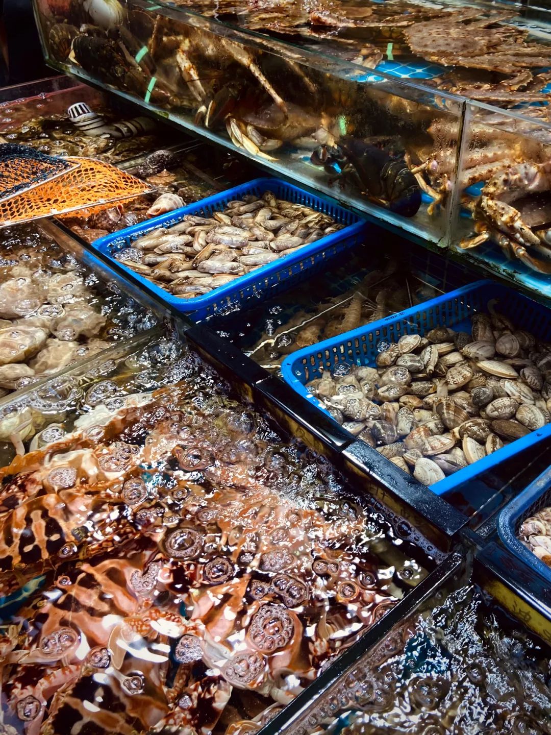 夜晚厦门美食推荐,深夜吃厦门美食