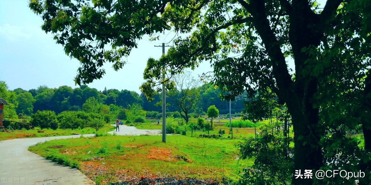 其他综合收益账务处理,其他综合收益什么意思