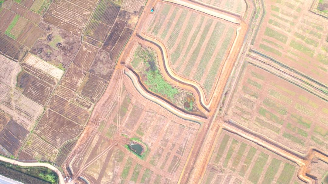 三农洞察小龙虾养殖,2022小龙虾养殖业形势预判